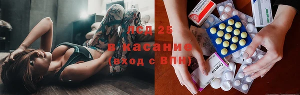 твердый Вязьма