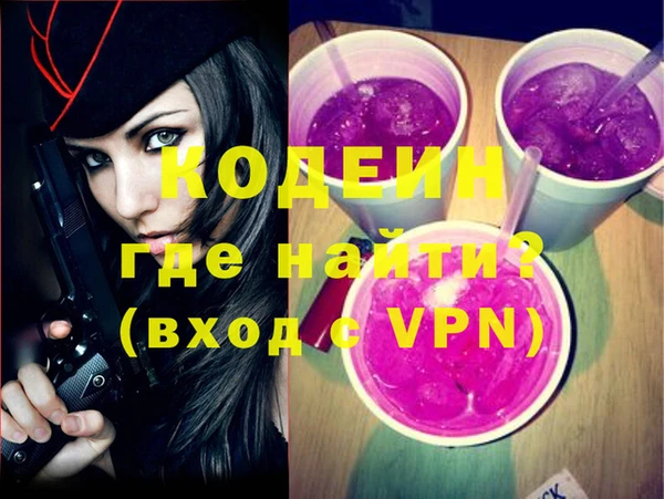 ешки Вяземский