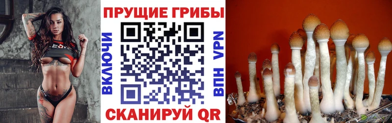 KRAKEN Дудинка Галлюциногенные грибы Psilocybine cubensis где продают наркотики